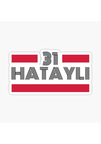 31 Hataylı Plaka Araba Sticker Yapıştırması