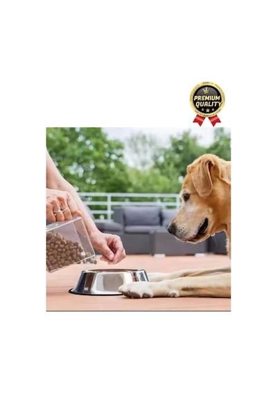 Premium Uzun Ömürlü Sağlam Kaymaz Kauçuk Taban Paslanmaz Çelik Metal Kedi Köpek Mama Su Kabı 26 Cm