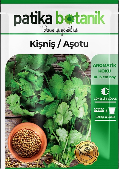 500 Adet Yerli Ata Kişniş Tohumu Aşotu