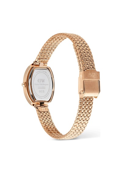 Daniel Wellington Dw00600883 Kadın Kol Saati Diğer