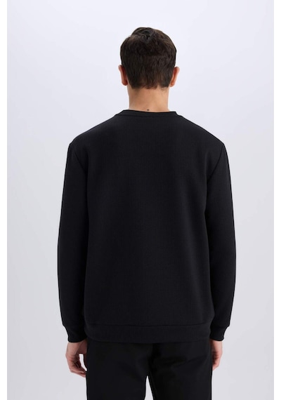DeFacto Regular Fit Bisiklet Yaka Basic Düz Sweatshirt D7231AX25SPBK81