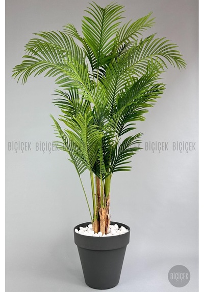 Biçiçek Yapay Areka Ağaci 220 Cm 4 Gövdeli̇ Antresi̇t Yali Saksıda
