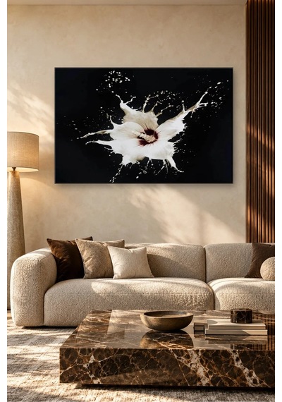 Fida Siyah Fonda Beyaz Sıçrama Canvas Tablo