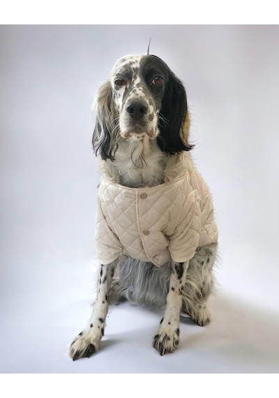 Kemique Cream Comfly Köpek Montu Orta Büyük Irklar İçin