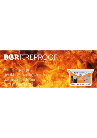 Borfıreproof Yangına Dayanıklı Boya 4 Kg Diğer