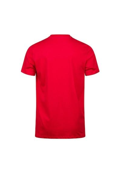 2as Alex Baskılı Erkek Sıfır Yaka T-shirt 047 Kırmızı