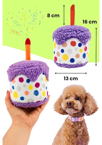 Havhav Köpek Parti Kutusu  5'li Set