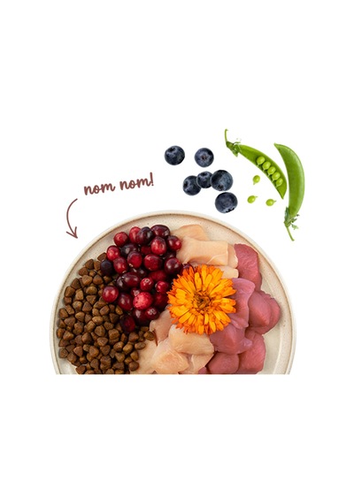 Sanabelle Indoor Gine Tavuğu Ve Yaban Mersinli Yetişkin Kuru Kedi Maması 8 Kg
