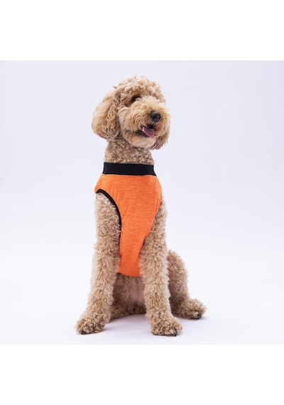 Turuncu Sunrise Büyük Köpek Tişörtü - Köpek Kıyafeti 15 Kg-45 Kg
