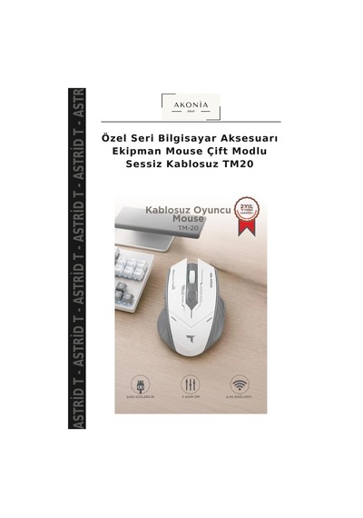 Özel Seri Bilgisayar Aksesuarı Ekipman Mouse Çift Modlu Sessiz Kablosuz Tm20