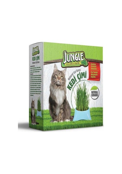 Jungle Kedi Çimi