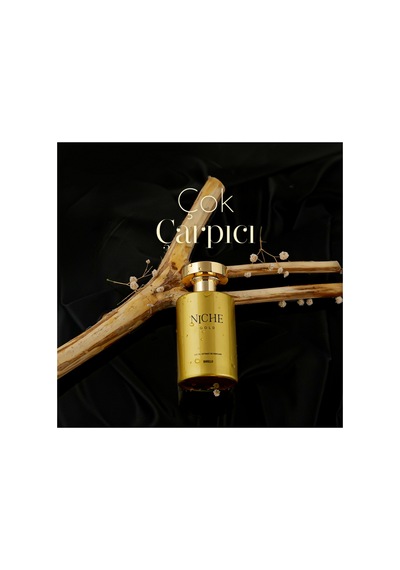 Niche Gold Crown Unisex Extrait De Perfume 100 Ml Fresh