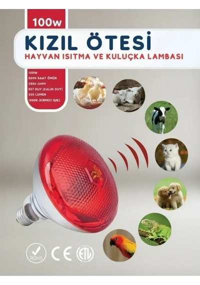 Buğz 100w Kızılötesi İnfrared Isıtıcılı Hayvan Isıtma Ve Kuluçka Lambası Kırmızı Işık E27 Kalın Duy