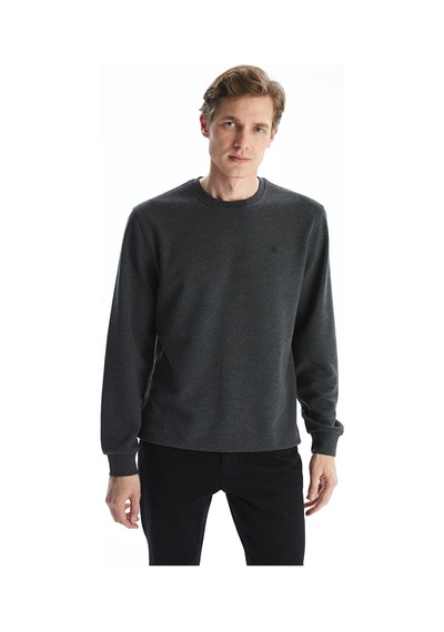 Lcwaıkıkı Classic Antrasit Bisiklet Yaka Uzun Kollu Baskılı Erkek Sweatshirt