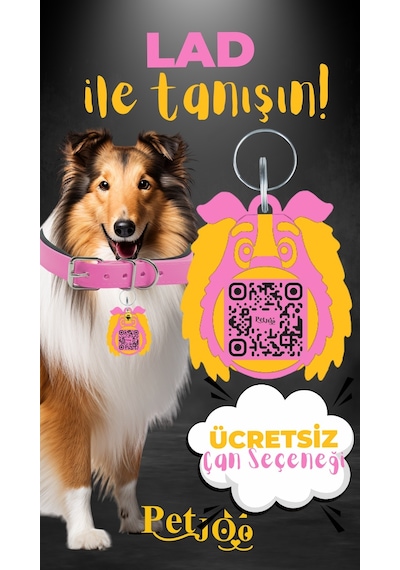 Petjoo 23.Lad Sarı-Pembe Qr'lı Köpek Künyesi