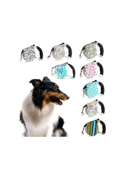 Desenli Köpek Tasması - Pup Style.