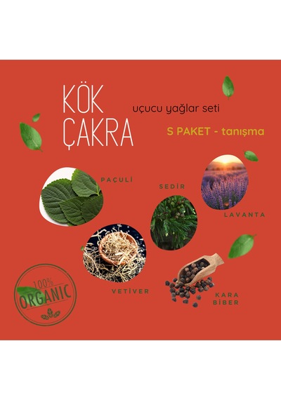 Kök Çakra Tanışma Seti Aromatik Uçucu Yağlar 5 Li Paçuli Sedir Vetiver Karabiber Lavanta