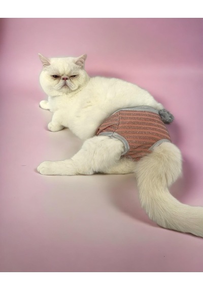Kemique Pink Shine Kedi İç Çamaşırı Regl Külot