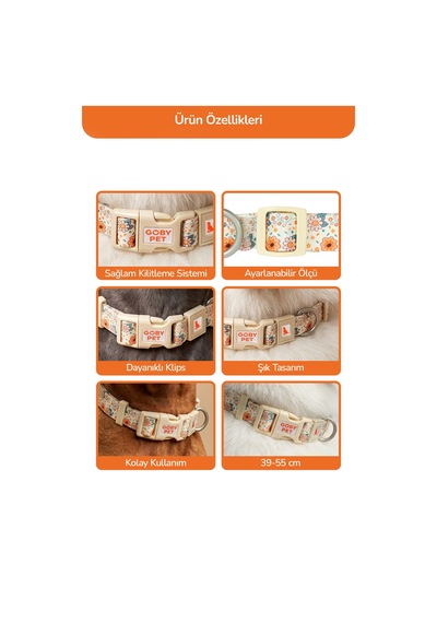 Köpekler İçin Dayanıklı Ve Güvenli, Desenli Boyun Tasması 25mm Krem