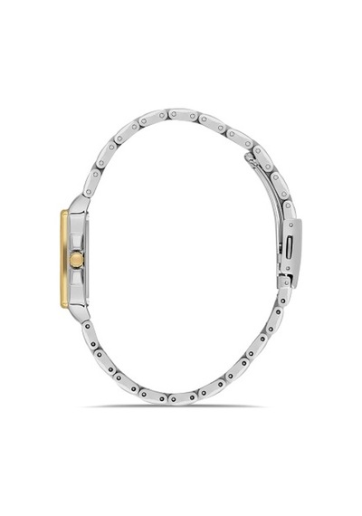 Ferro Quartz Çelik Altın/gri Siyah Kadran 28 Mm Kadın Kol Saati