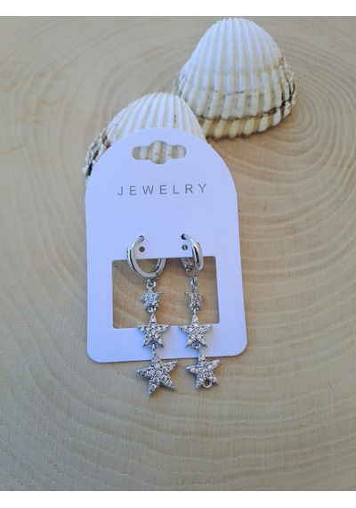 Dali Shop Sallantılı Yıldız Küpe Gümüş Renk Gümüş