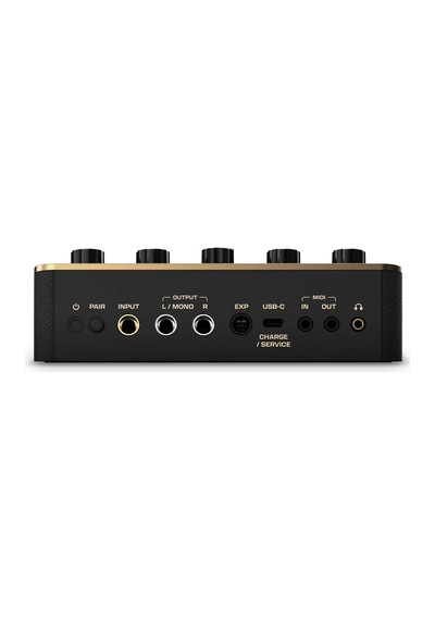 Positive Grid Spark Pedal Gitar Efekt Pedalı