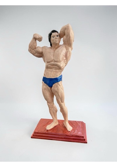 Arnold Schwarzenegger Bodybuilding Şampiyonluk Pozu Heykelcik Dekoratif Obje 15 Cm Koleksiyonluk