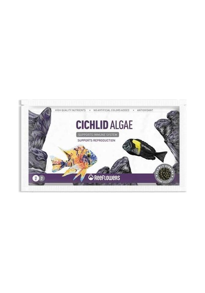 Reeflowers Cichlid Algae Ciklet Balık Yemi 15 G