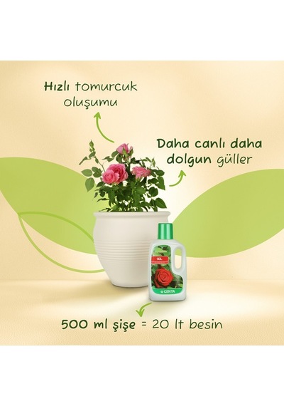 Genta Güller İçin Sıvı Besin Diğer