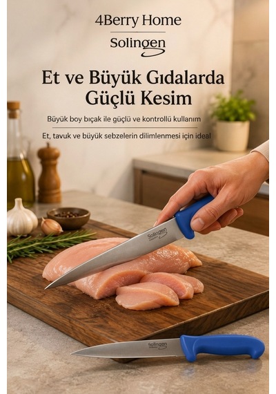 Solingen 2 Li Paslanmaz Çelik Mutfak Bıçağı Seti Et, Meyve Ve Sebze Bıçağı Mavi