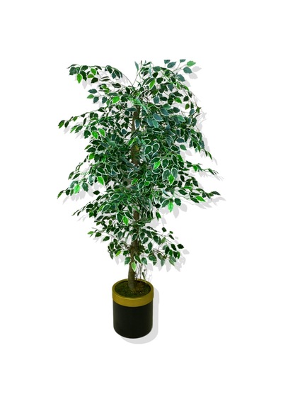 Cihan Çiçekçilik Ficus 160 Cm Yapay Ağaç 30x25 Gold Kemerli Saksı Beyaz- Yeşil