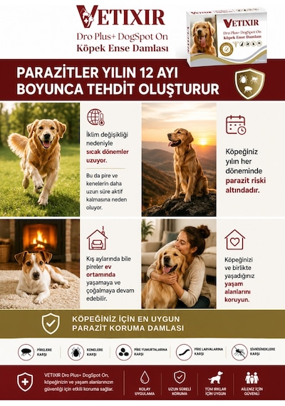 Köpek Bitkisel İç Dış Bit Pire Uzaklaştırıcı Damla Ve Tablet 5 Damla 3 Tablet