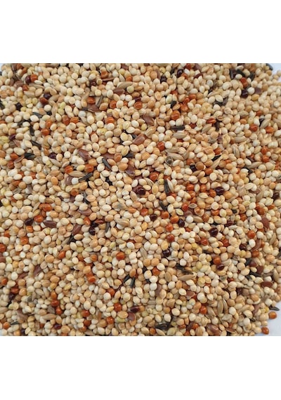 Özel Karışık Muhabbet Kuşu Yemi 10 KG