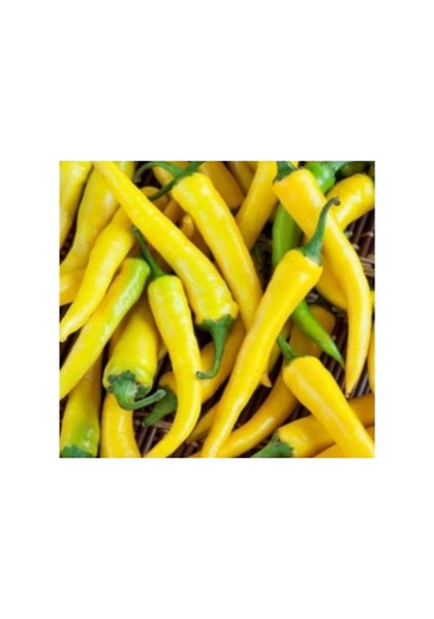Sarı Süs Biber Tohumu - 3 Gram
