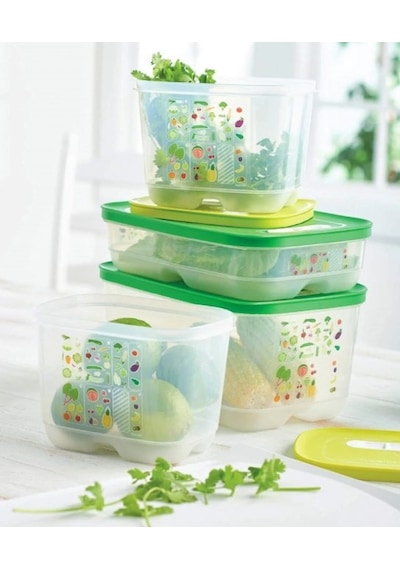 Tupperware Sera Set - 4 Parça Çok Renkli