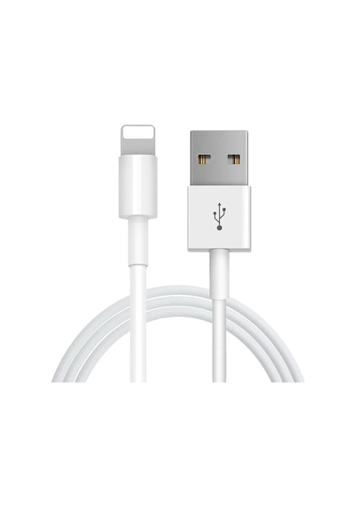 Şarj Aleti Kablosu 1M Lightning USB