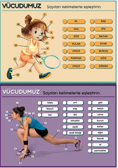 Çocuklar İçin Anatomi Öğreten Yaz-sil Kitabı
