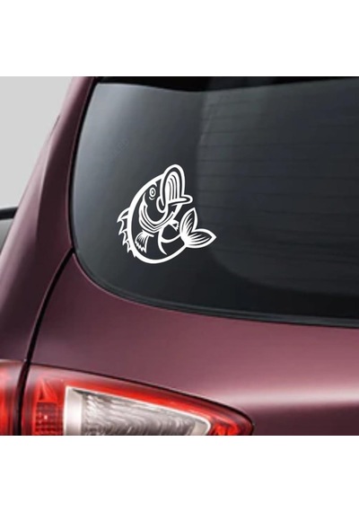 Balık Araba Sticker Yapıştırma