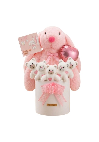 Yenidoğan Kız Bebek Hediyesi Baby Shower Tavşan Uyku Arkadaşı Ve Pembe Peluş Ayıcık Buketi