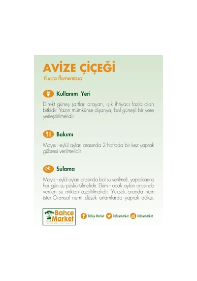Yuka - Avize Çiçeği Tekli 30 Cm