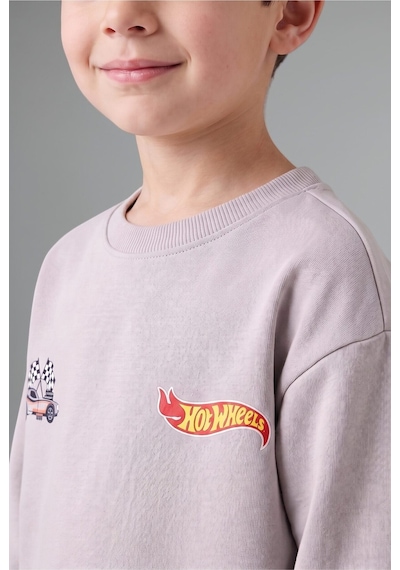 Defacto Hot Wheels Lisanslı Baskılı Bisiklet Yaka Basic Sweatshirt Ve Jogger Eşofman Altı 2li Takım Erkek Bebek I0151a526wngr91 Gri-gr91