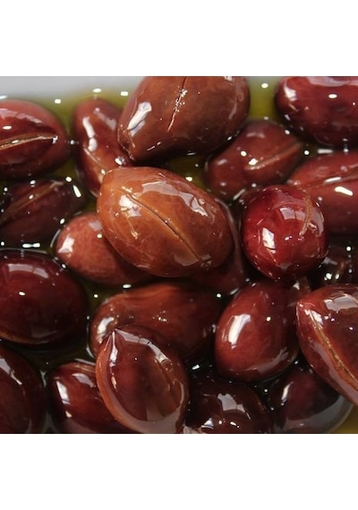 Tüplü Özel İri Meyveli Kalamata Zeytin Fidanı