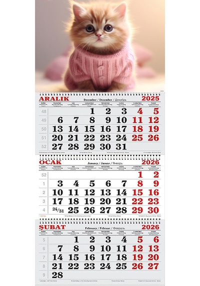 2026 Yılı Gemici Takvimi- Pembe Kazaklı Yavru Kedi
