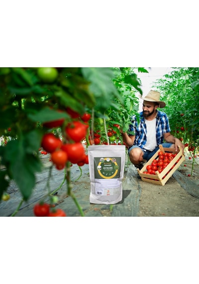 Klasser Leonardit Çok Amaçlı Toprak Düzenleyici 4500 GR
