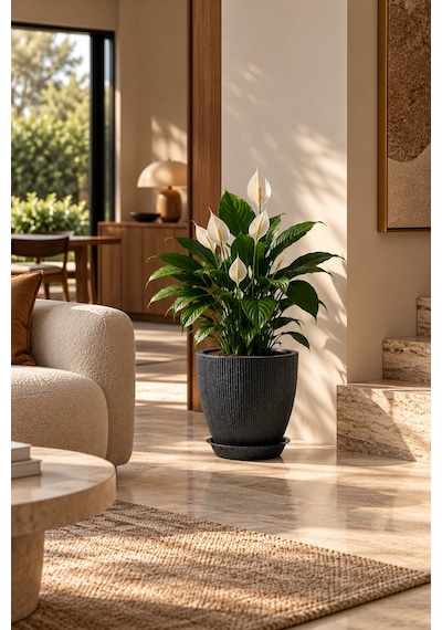 Bostann Dekoratif Saksı - Botonıa 010 - 13l - Antrasit 13 Lt