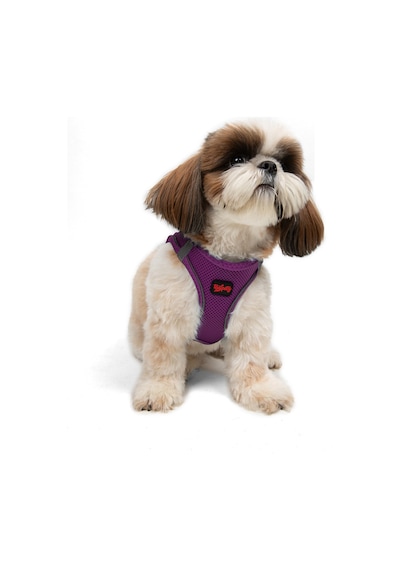 Air-Mesh Küçük ve Orta Irk Kedi Köpek Göğüs Tasması - Yumuşak, Nefes Alabilir, Dayanıklı MOR S