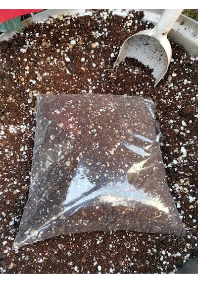 Tr Kaktüs Topragı Çok Özel Kaışım   Taş Kaktüs Lithops Aloe Vera 4 Litre Diğer