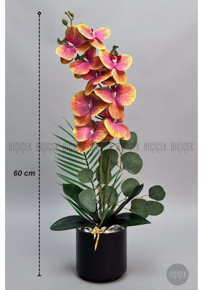 Yapay Phalaenopsi S Turuncu Orki De 60 Cm Siyah