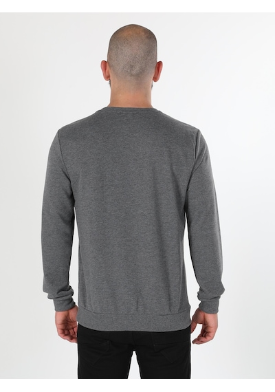 Colin's Colins Regular Fit Baskılı Antrasit Erkek Sweatshirt Antrasit
