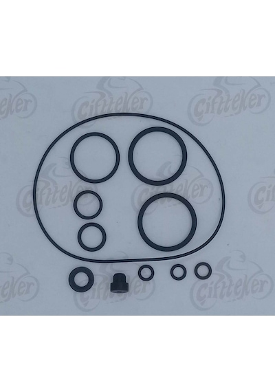 Ramzey Cub 100 Motor O-Ring Seti (545200056)
